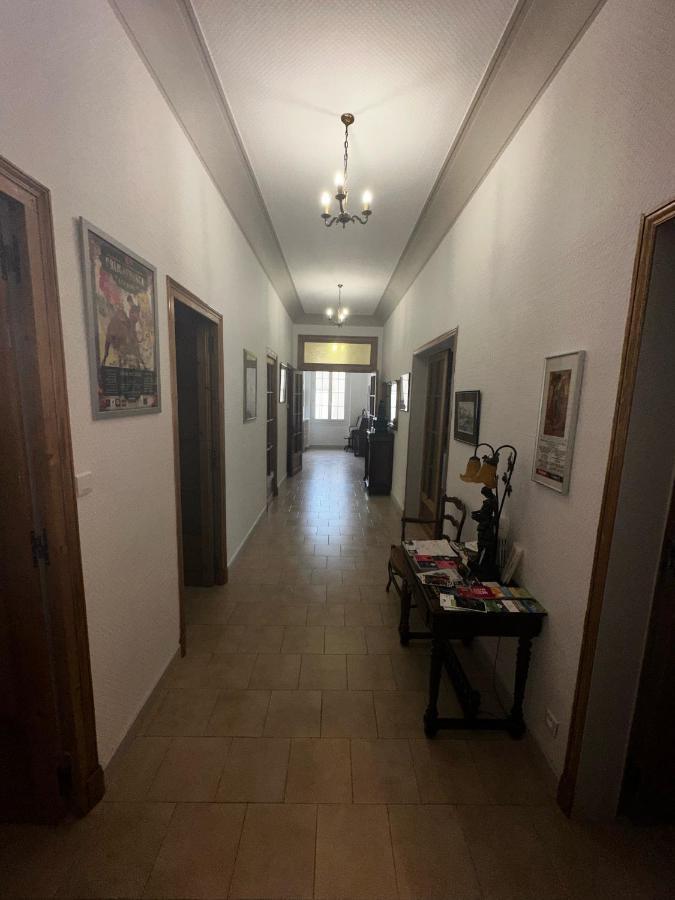 Appartement 4 A 8 Personnes, Spacieux De Standing Classe 4 Etoiles 尼姆 外观 照片